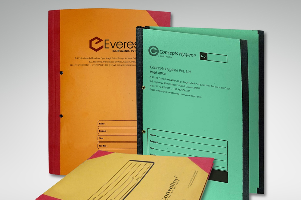 Corporate business files for organized documentation