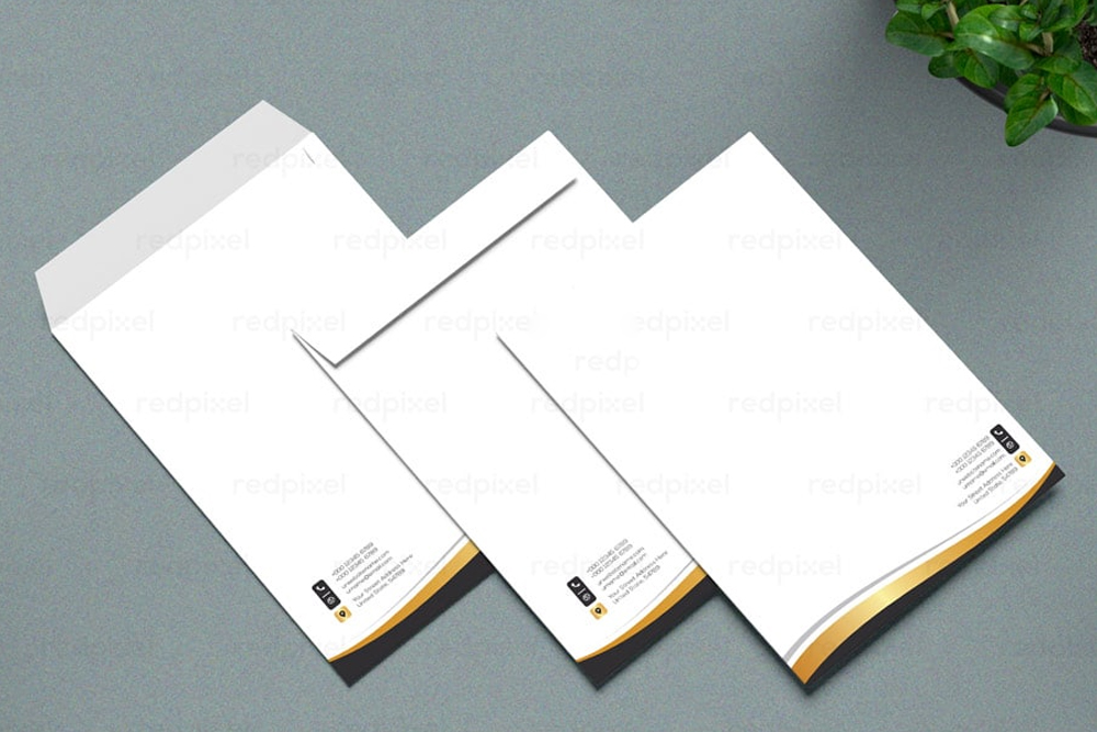 Branded DL size long envelopes for corporate communication